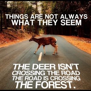 Meet your Posher, Eileen